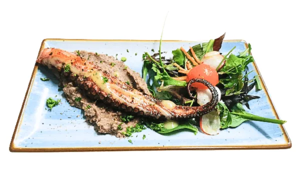 Sophias Restaurant — photo 26