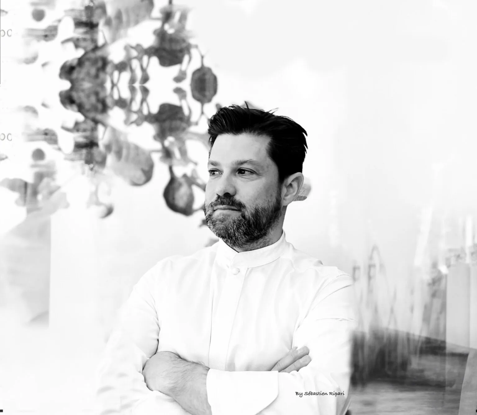 Thierry Schwartz - Table Naturelle — photo 5