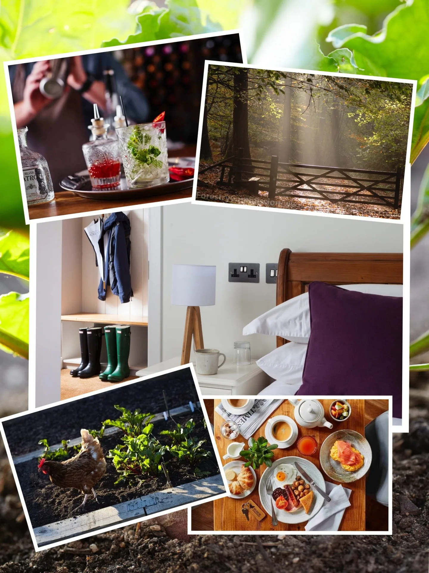 Tudor Farmhouse Hotel & Restaurant — photo 60