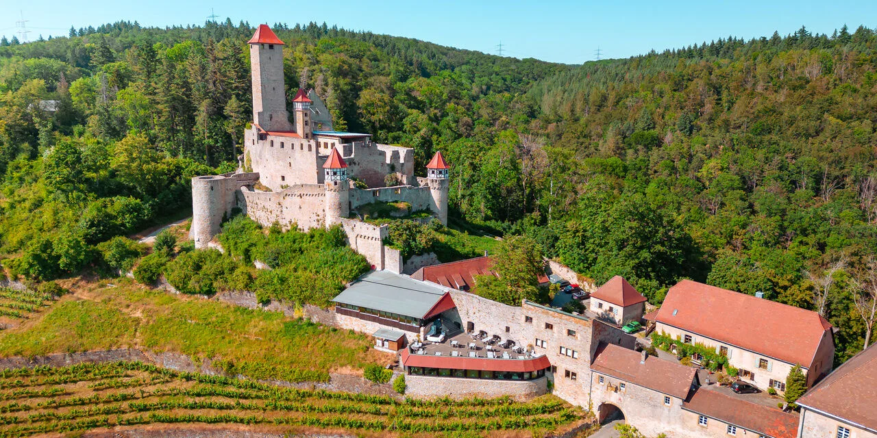 Restaurant Burg Hornberg — photo 80