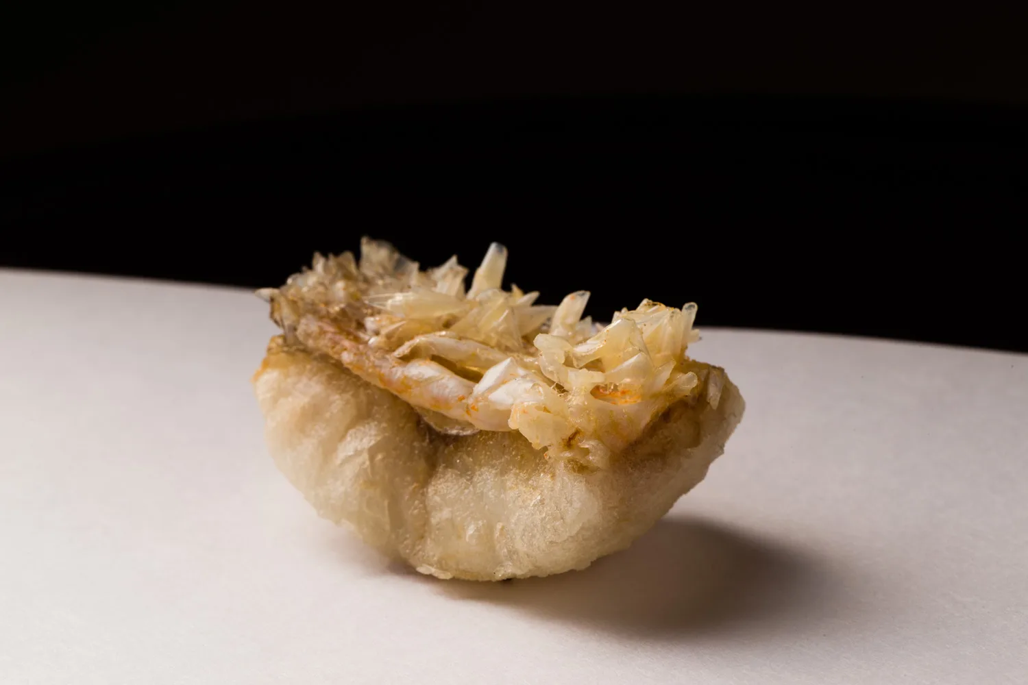 Kyoboshi — photo 6