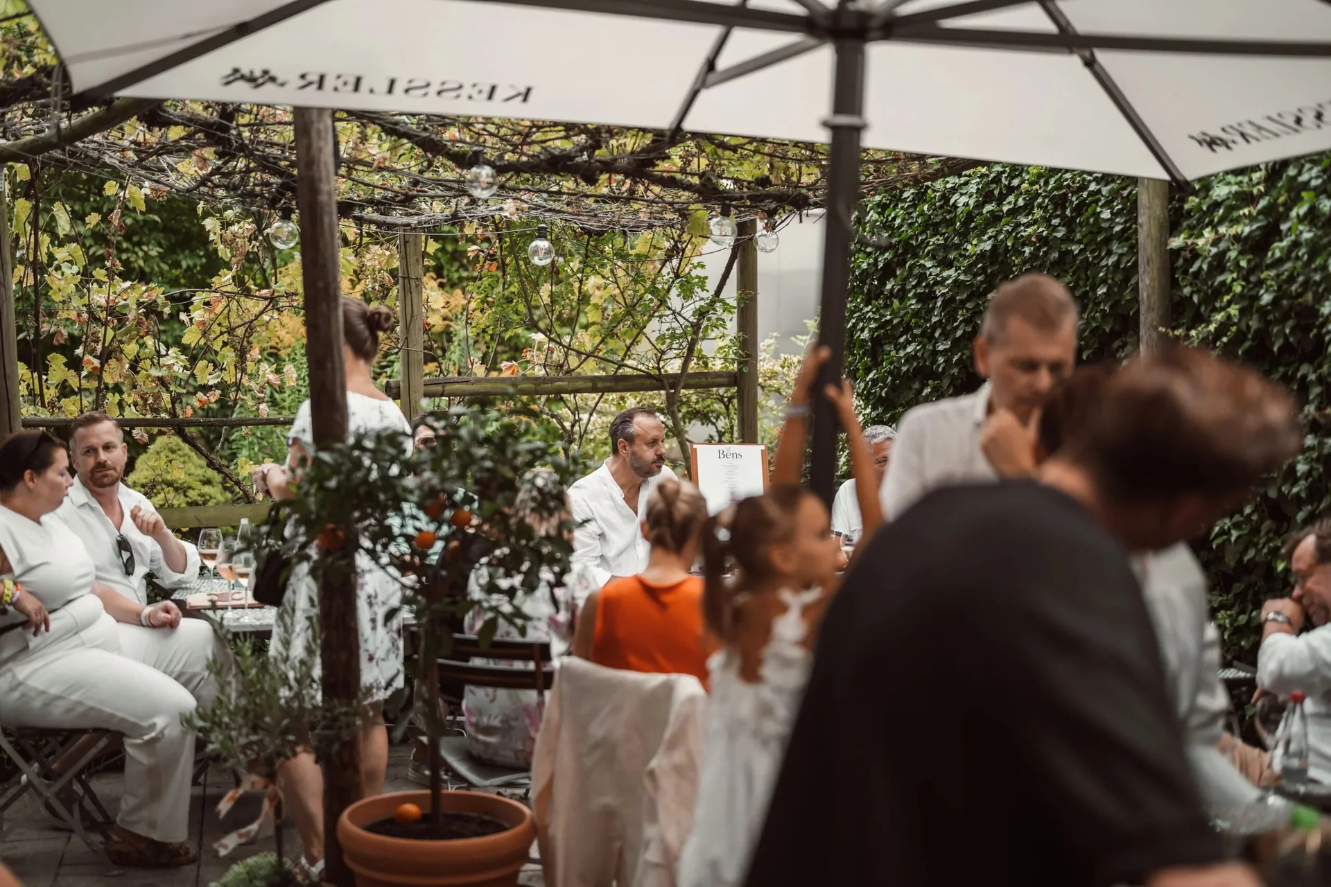 Bens Weinstube Klink — photo 35