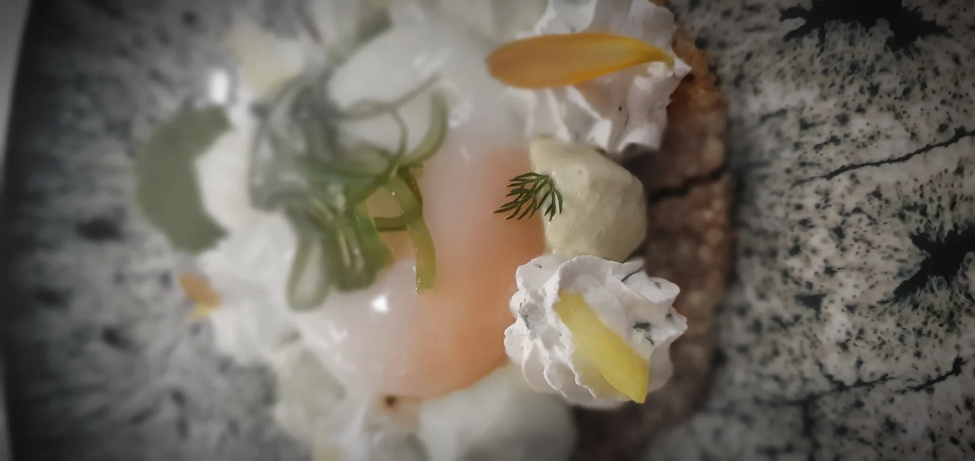Côté Mer — photo 23