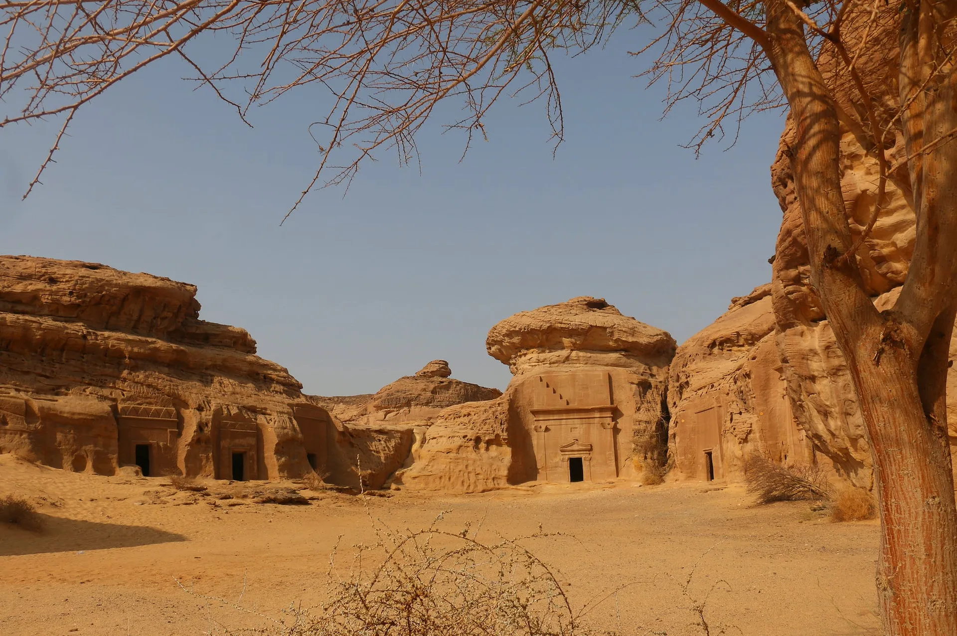 Tama - Our Habitas AlUla — photo 27