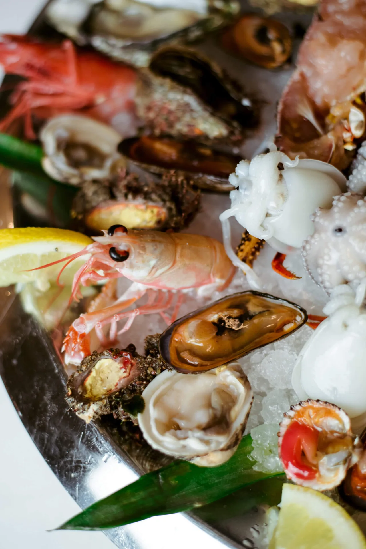 Al Pescatore — photo 34