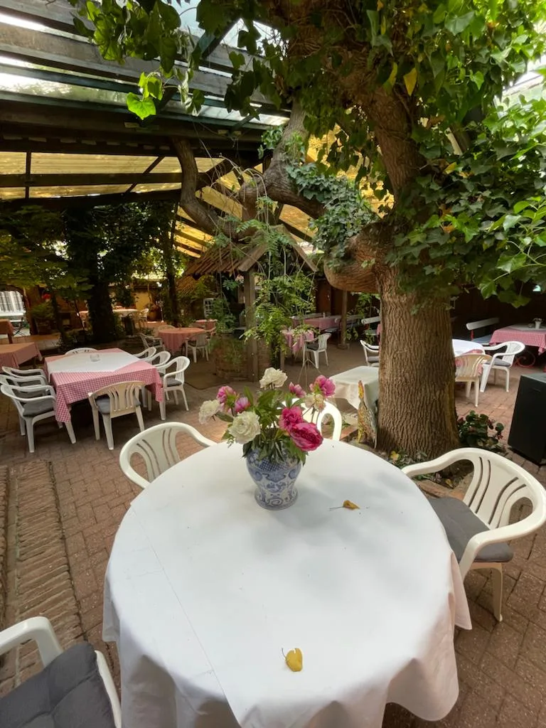 Altes Gasthaus Christ — photo 9