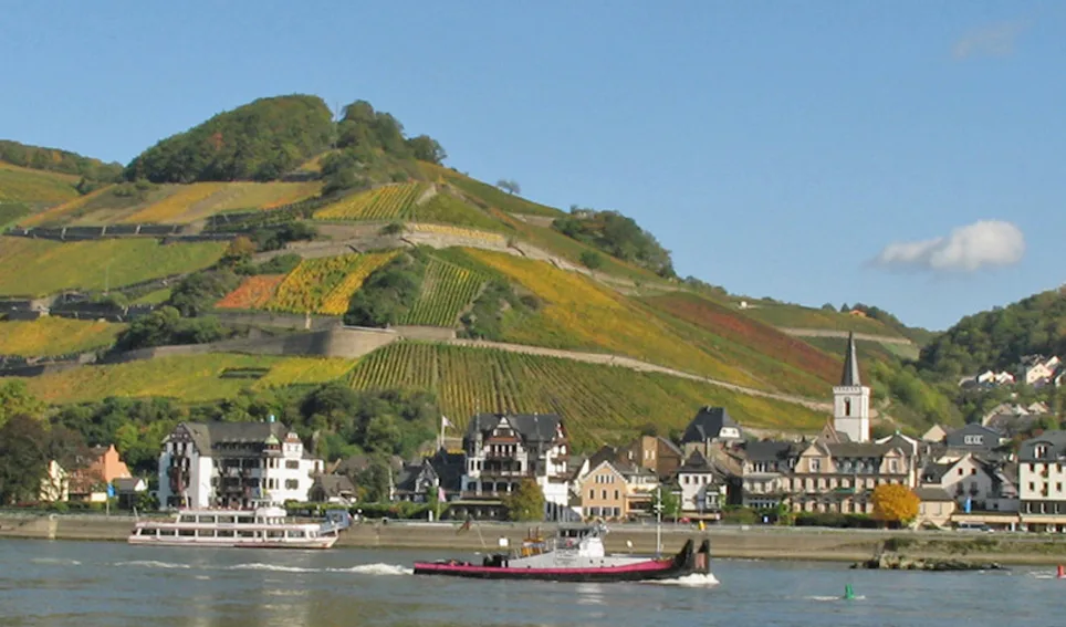 Restaurant zum Anker — photo 24