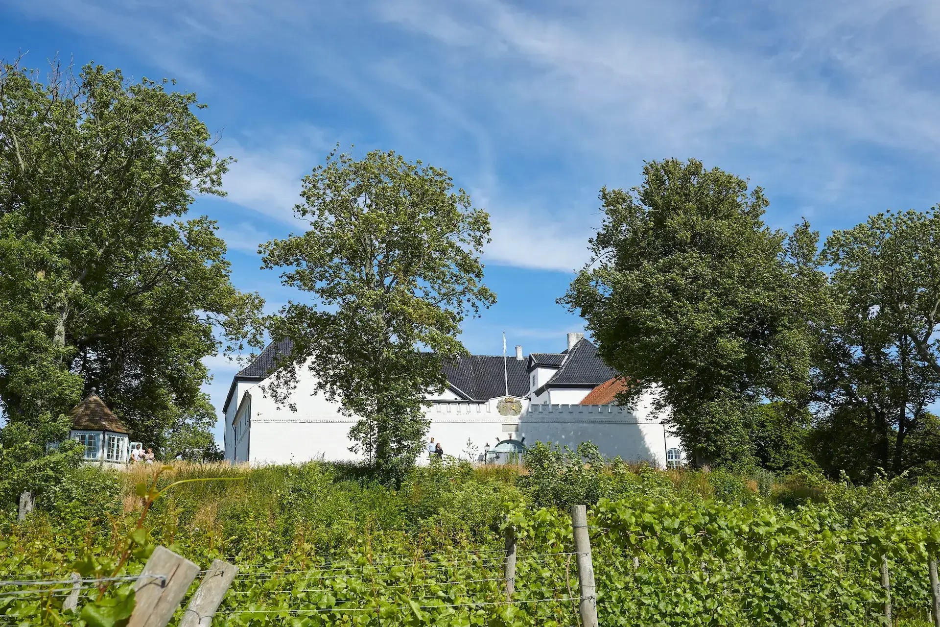 Dragsholm Slot Gourmet — photo 12
