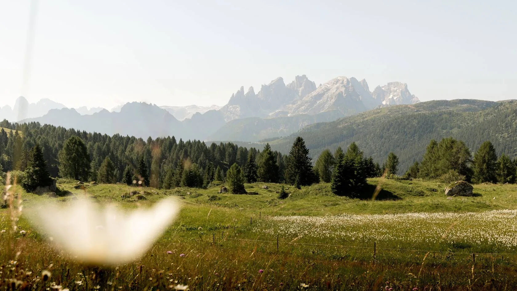 Al Lago — photo 10