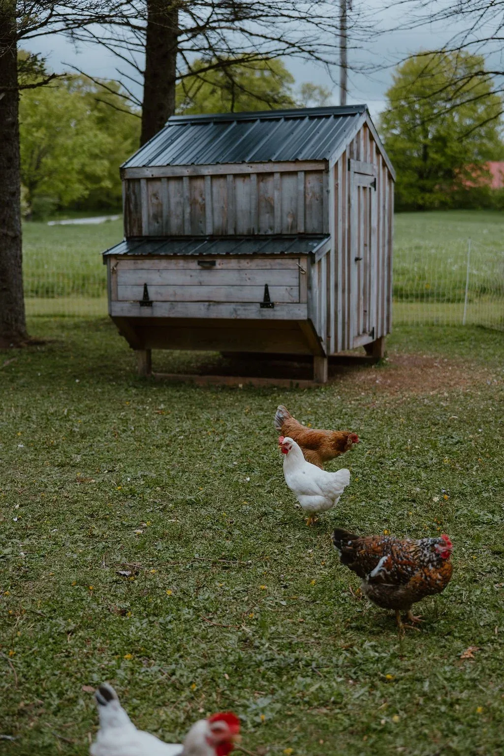 Down Home — photo 17