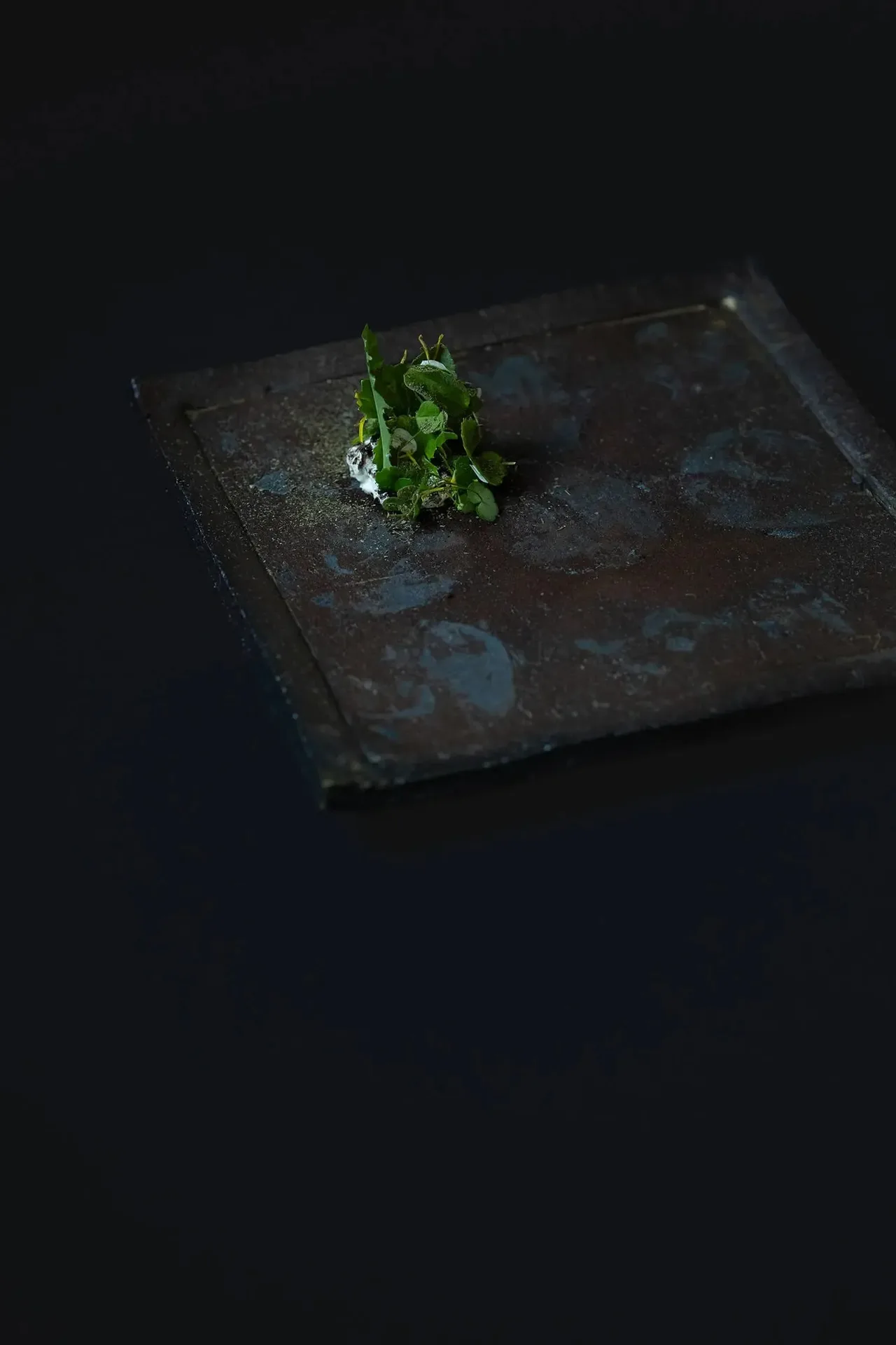 Mauvaise herbe — food