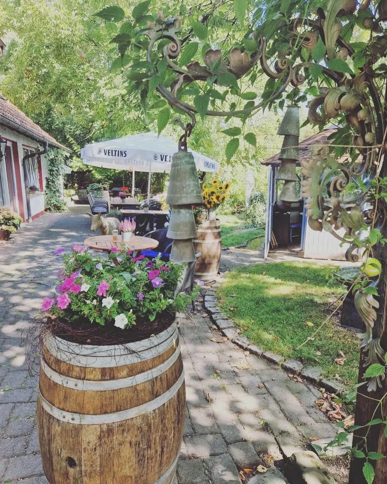 Waldrestaurant Zur Steinkiste — photo 37