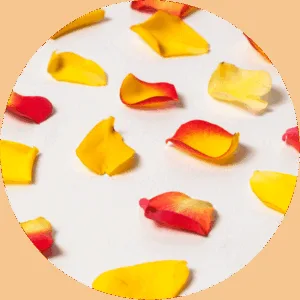 El Rincón de Juan Carlos — food