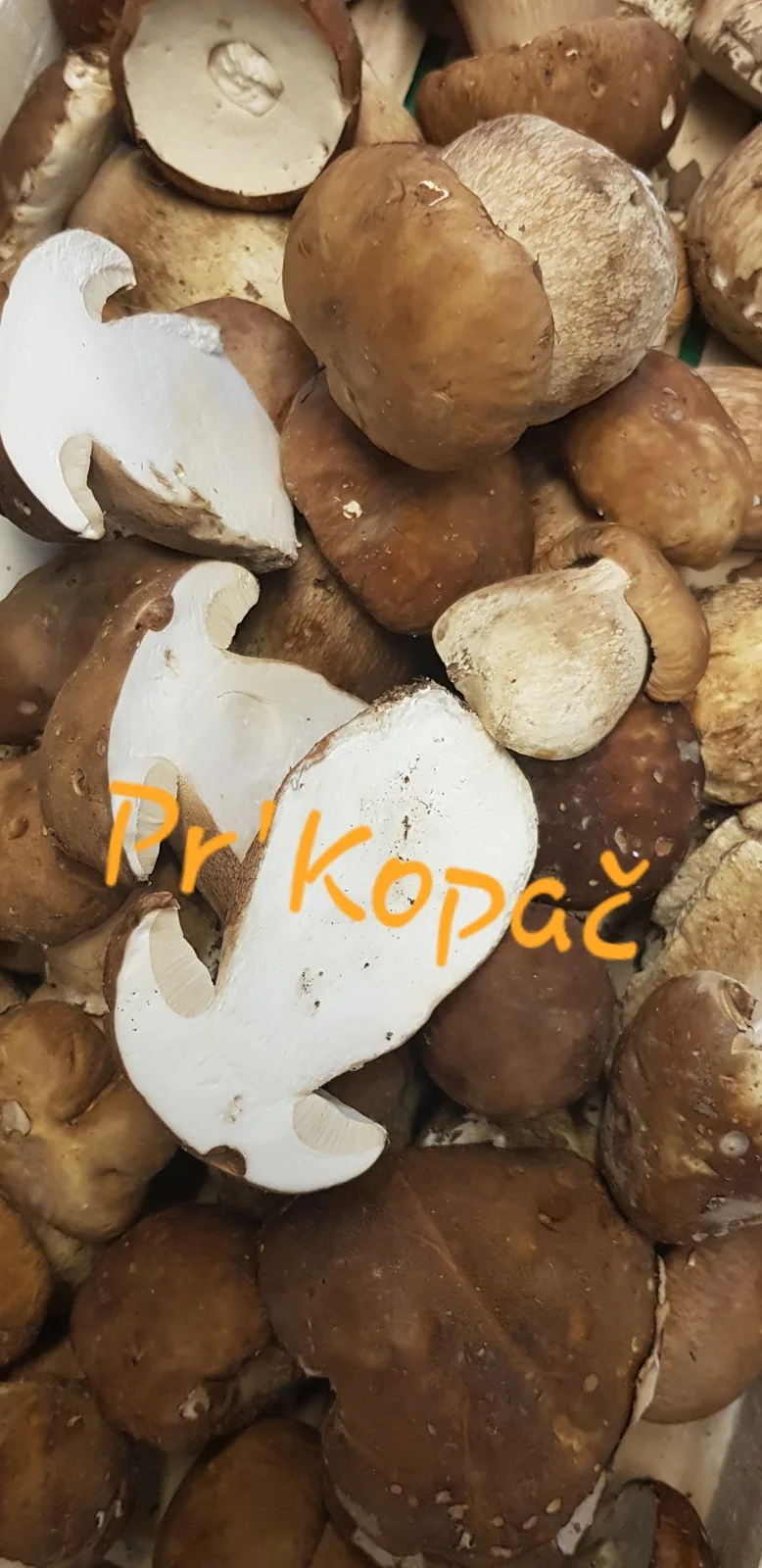 Gostilna Pr'Kopač — photo 58