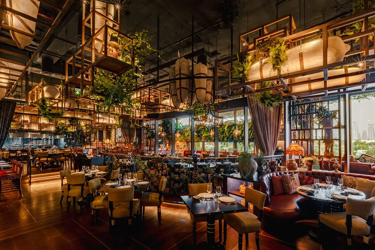 Coya — photo 6