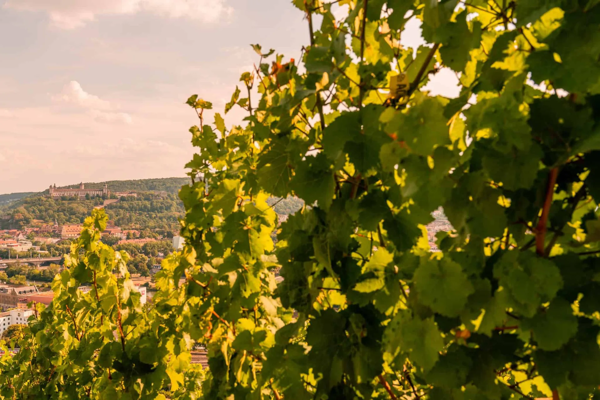 Steinburgs Restaurant — photo 27