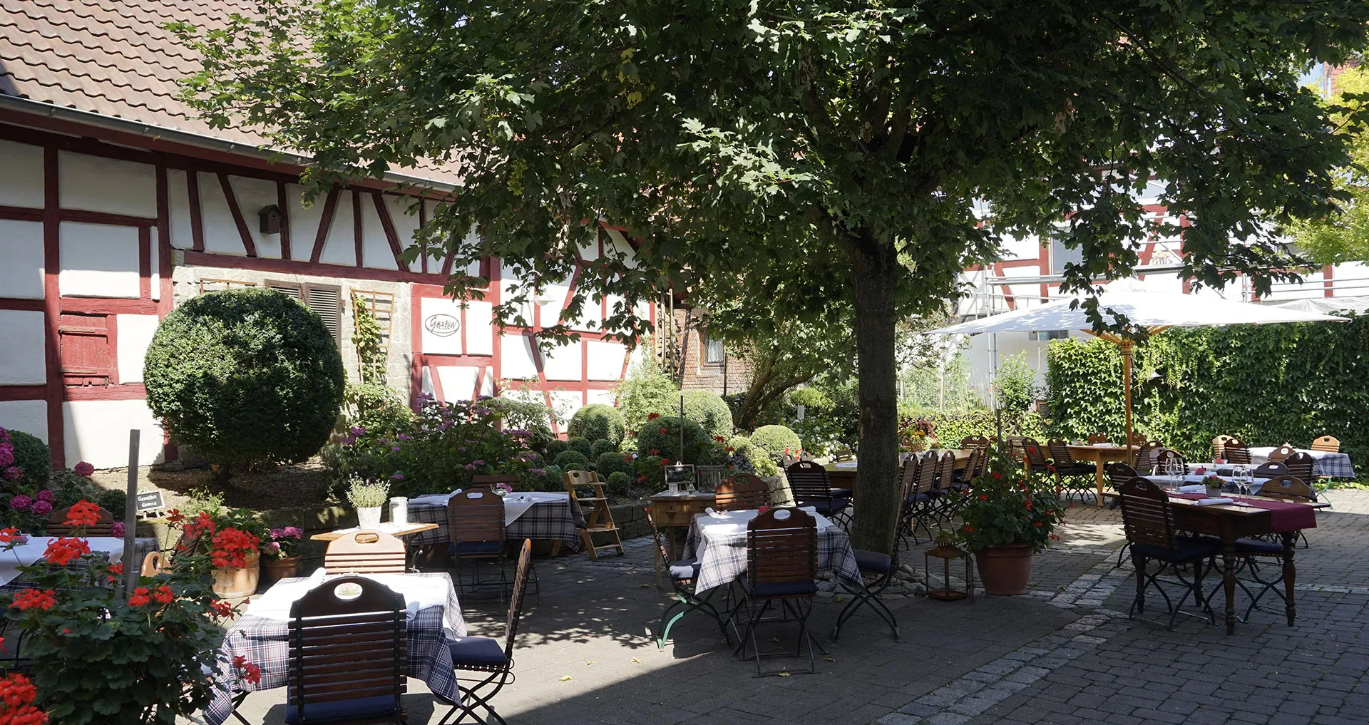 Adler, Brackenheim