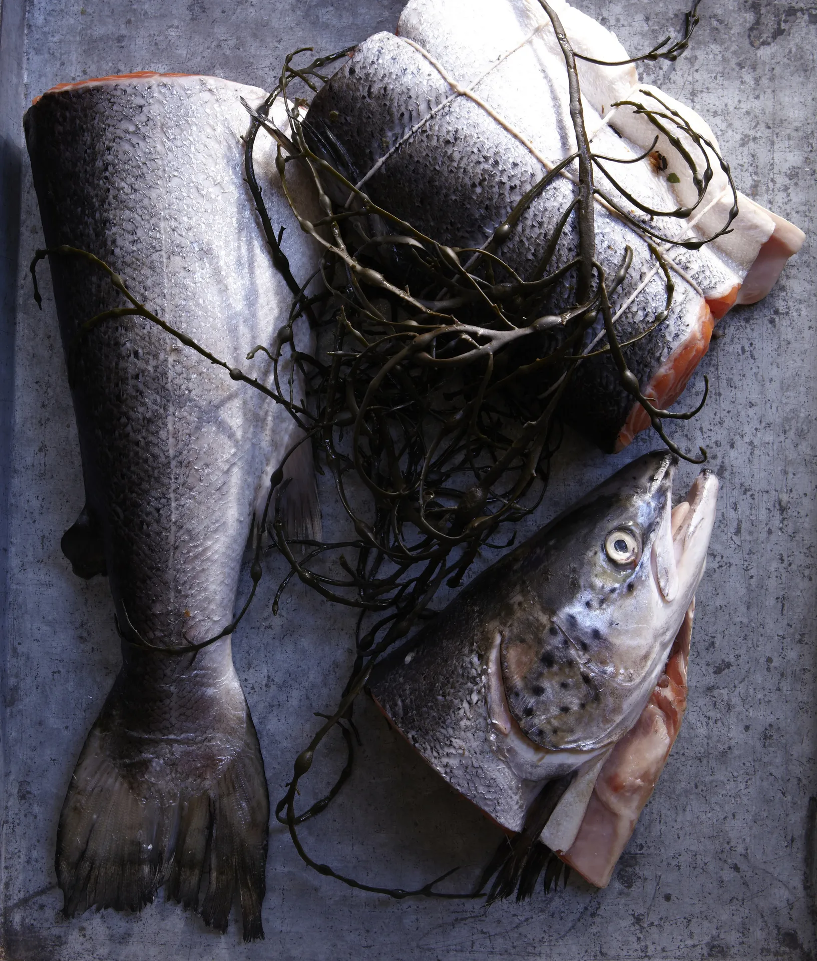 Via Carota — photo 47