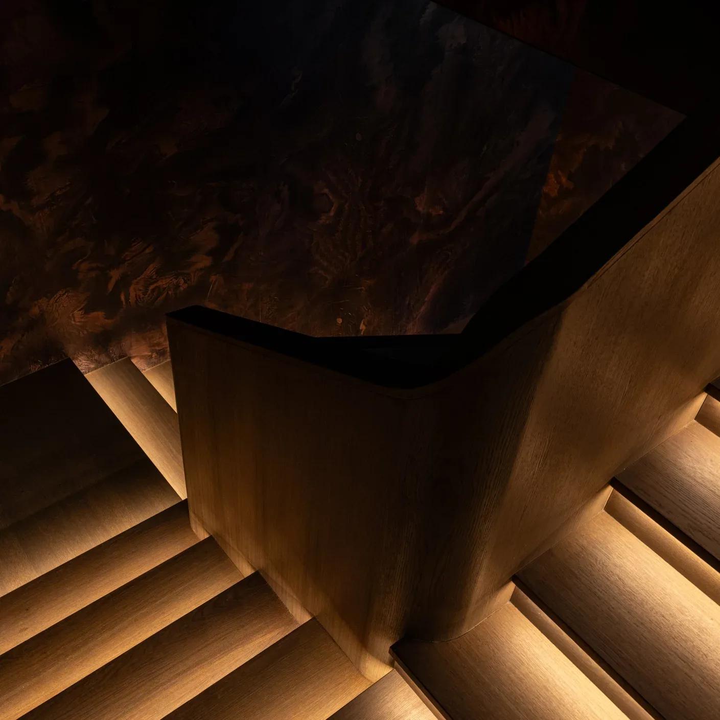 Loro — photo 7