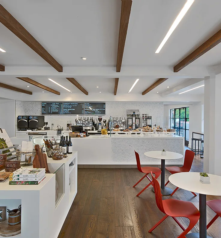 Olivella — photo 13
