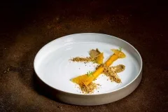 Loco — photo 12