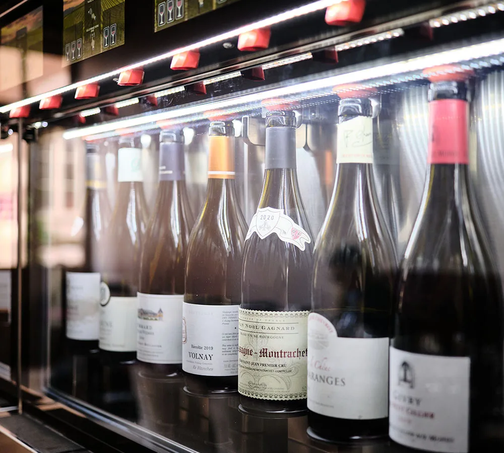 Loiseau des Vignes — photo 12