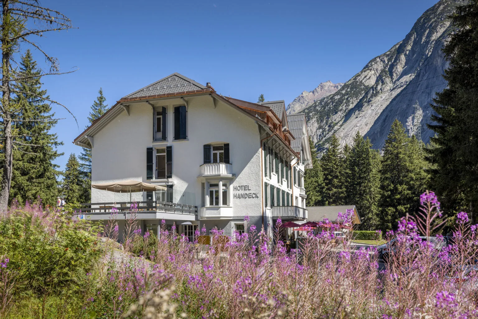 Hotel und Naturresort Handeck — photo 38