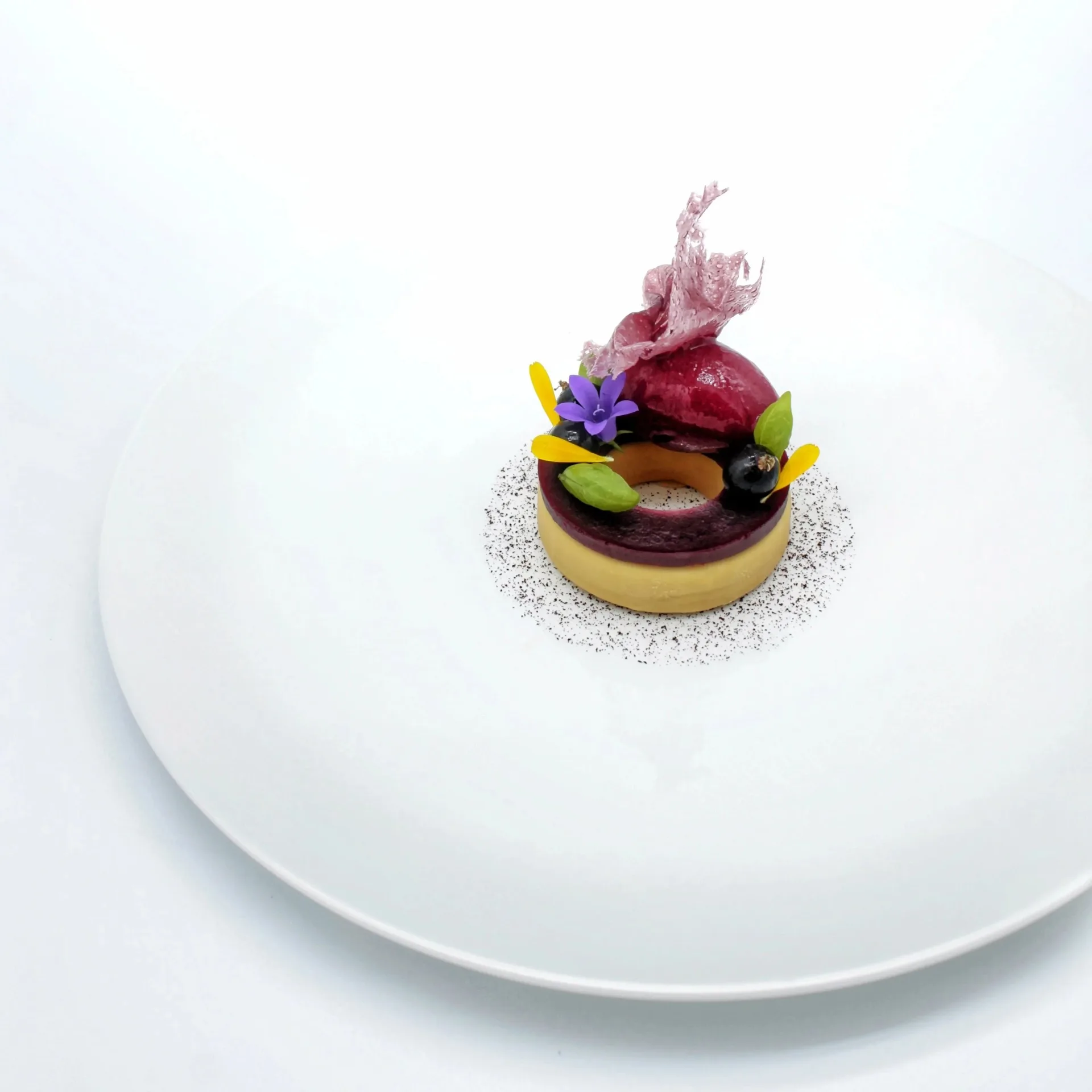 Restaurant Papilio — photo 20
