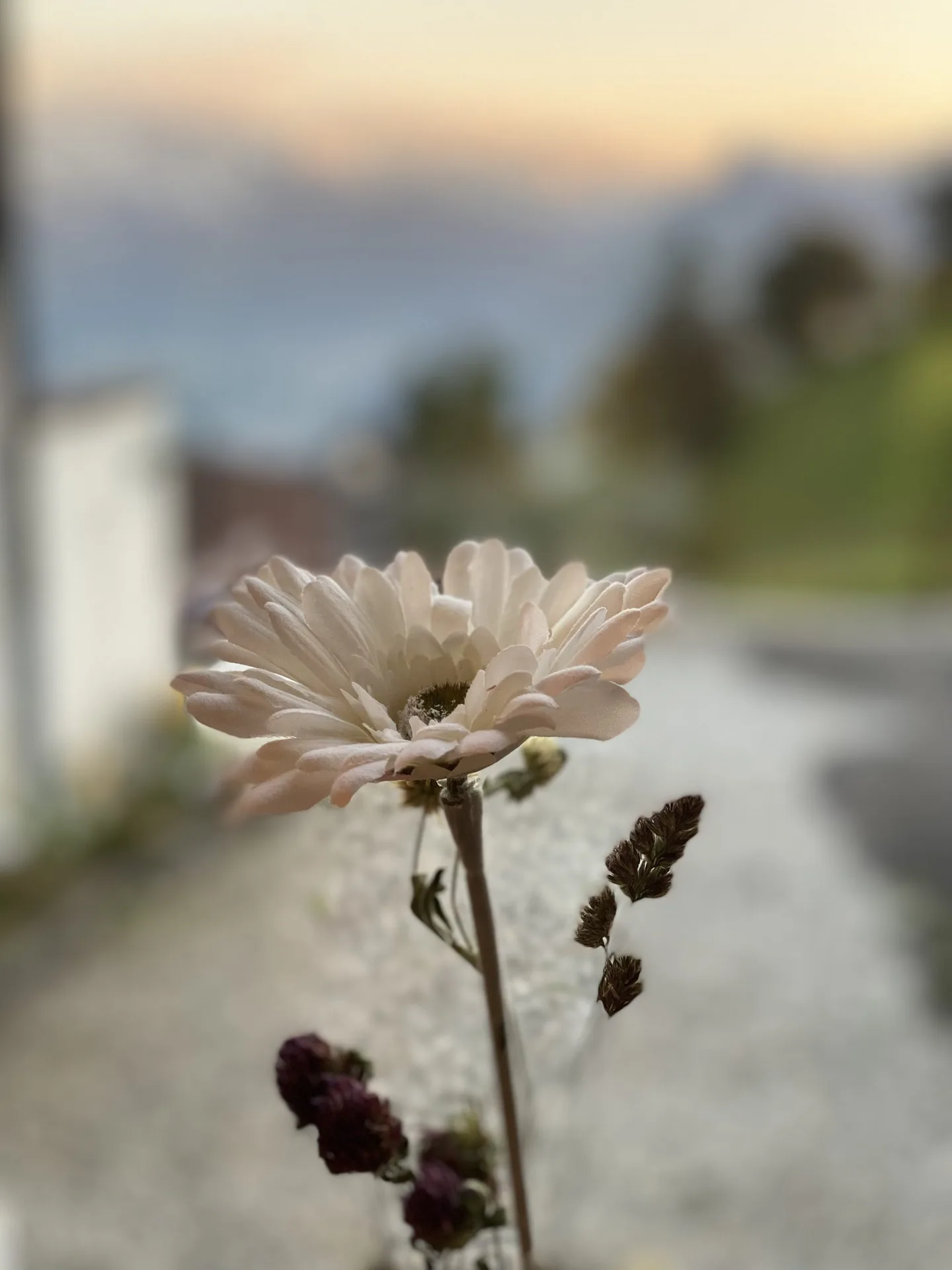 Berggasthaus Masescha — photo 42