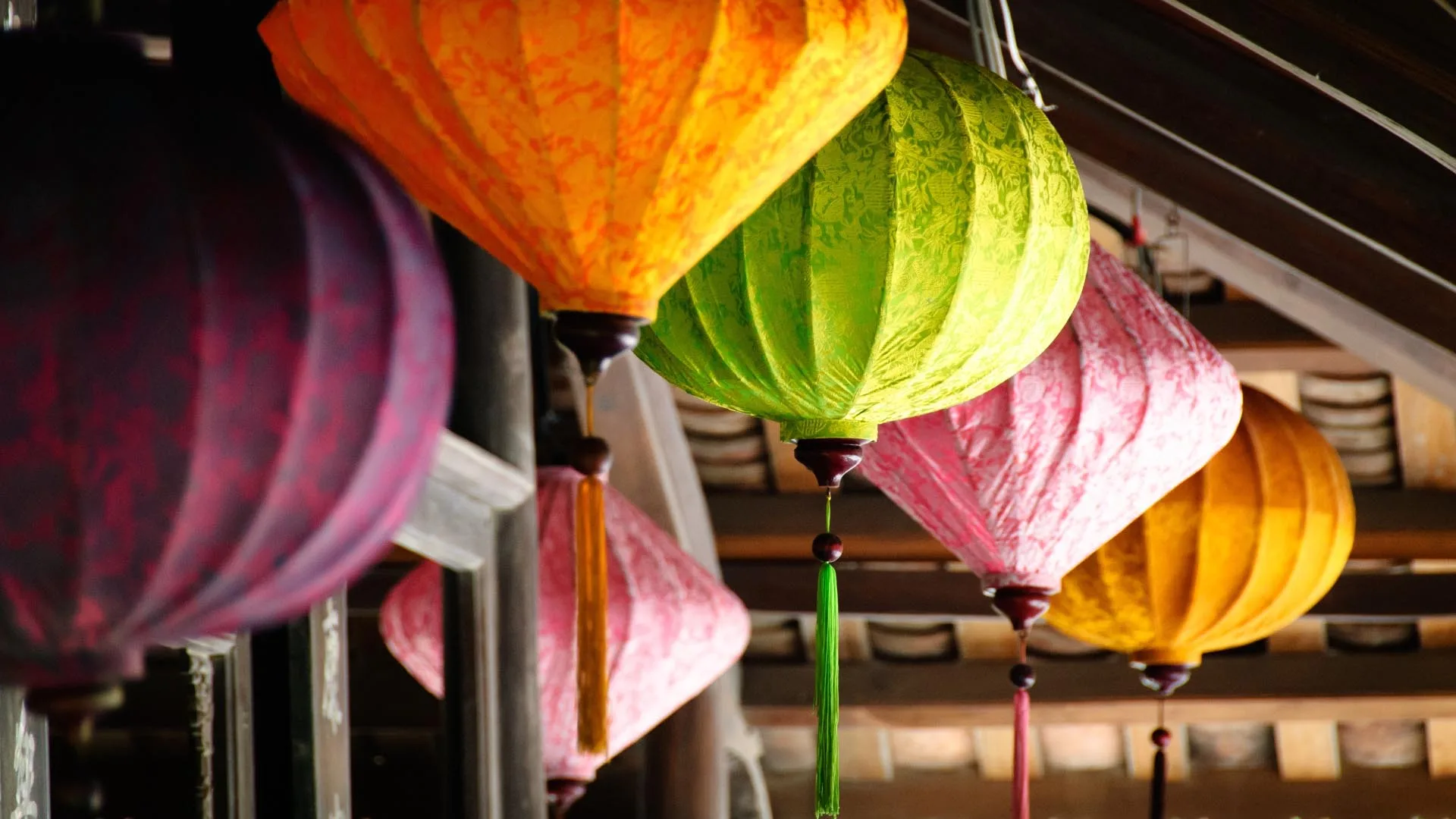 Bao Yuan — photo 9