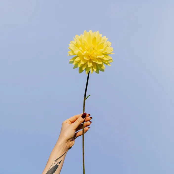 Sepia — food