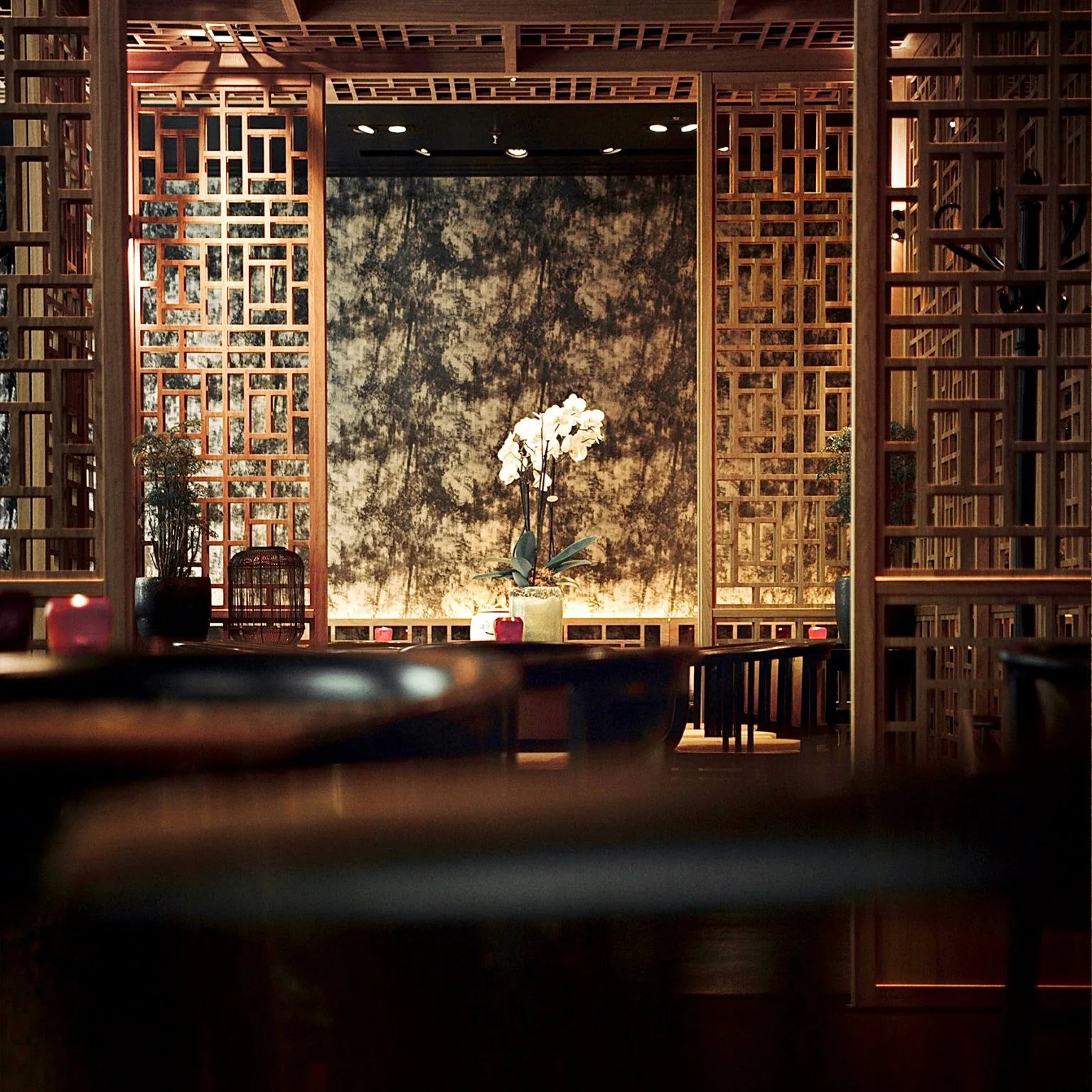 Restaurant Azuki — photo 14