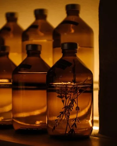 Lovis — drink