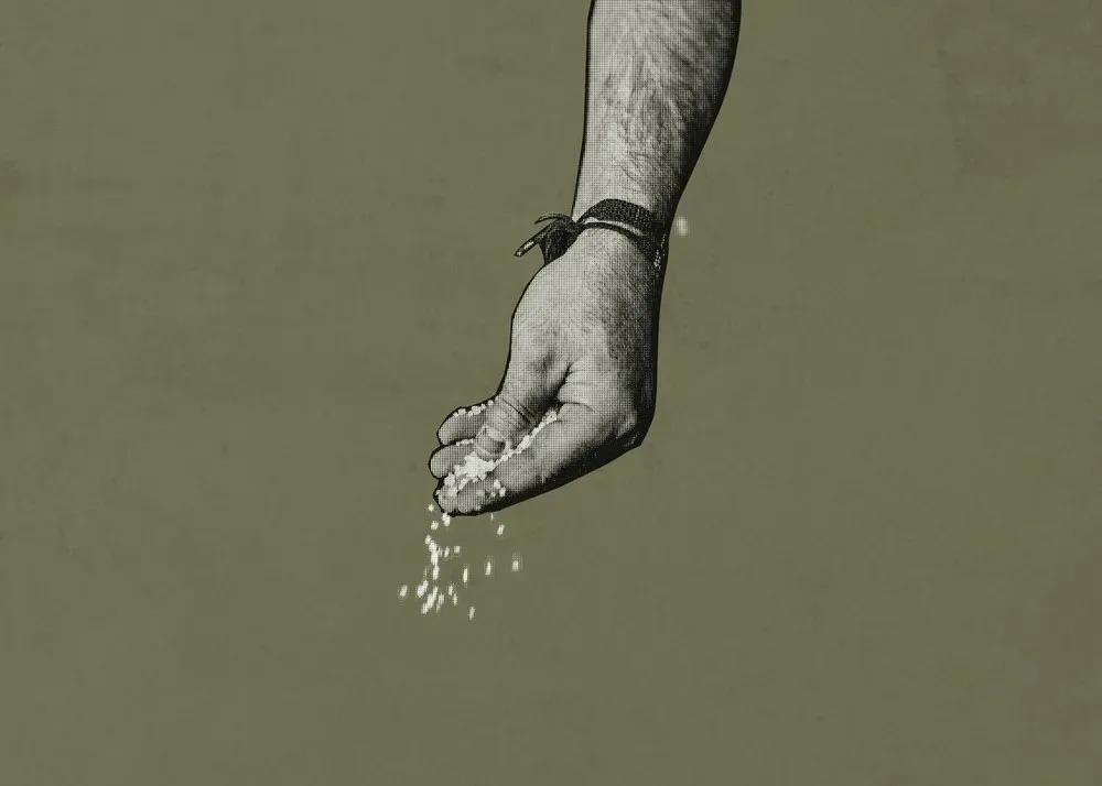 Kolm — kitchen