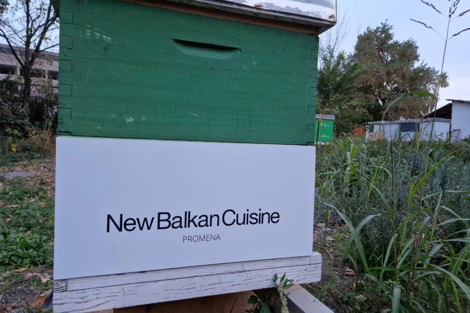 DRAGOLJUB NEW BALKAN CUISINE — photo 22