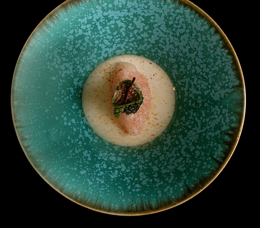 ku:de kiyo — photo 40