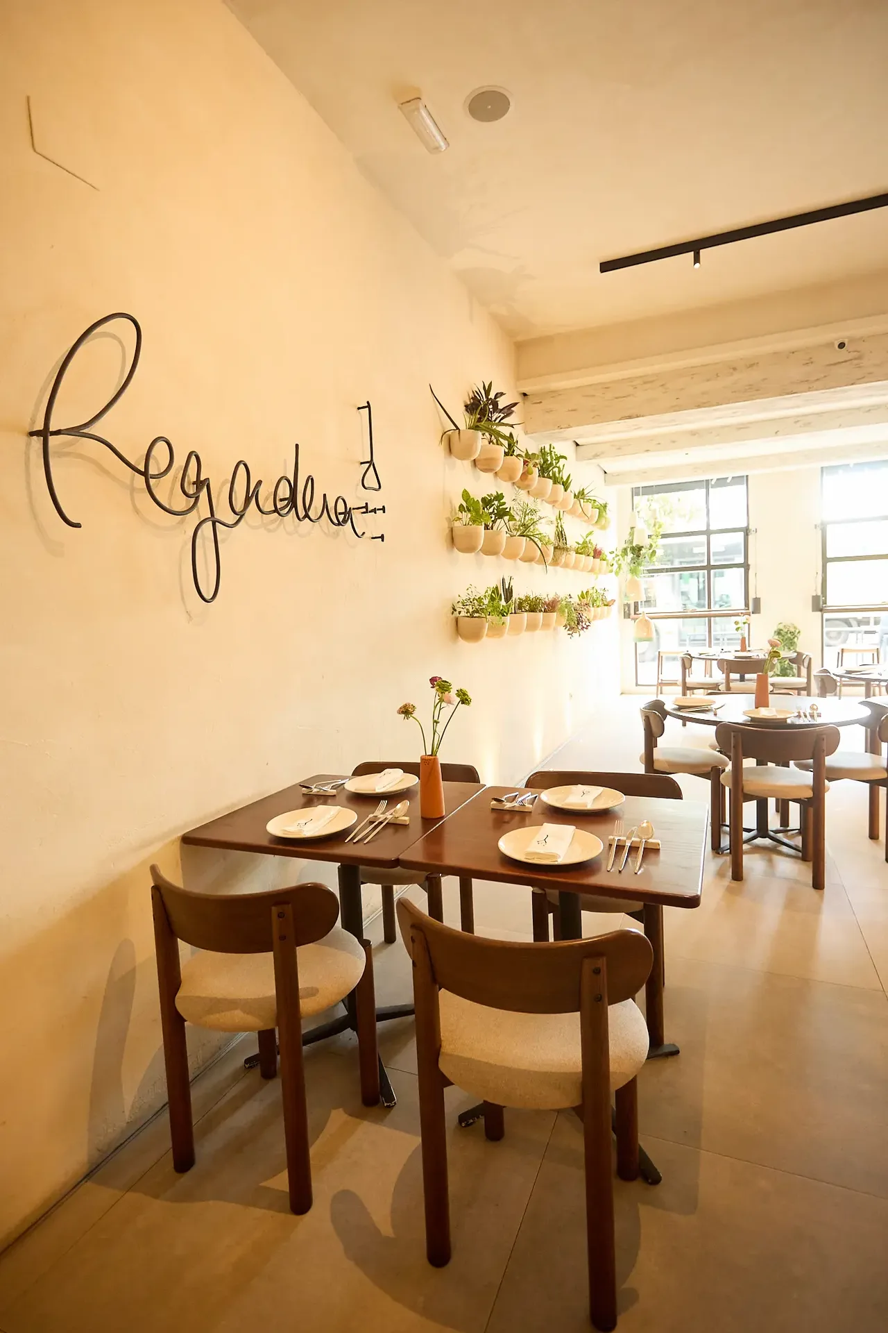 Regadera — photo 12