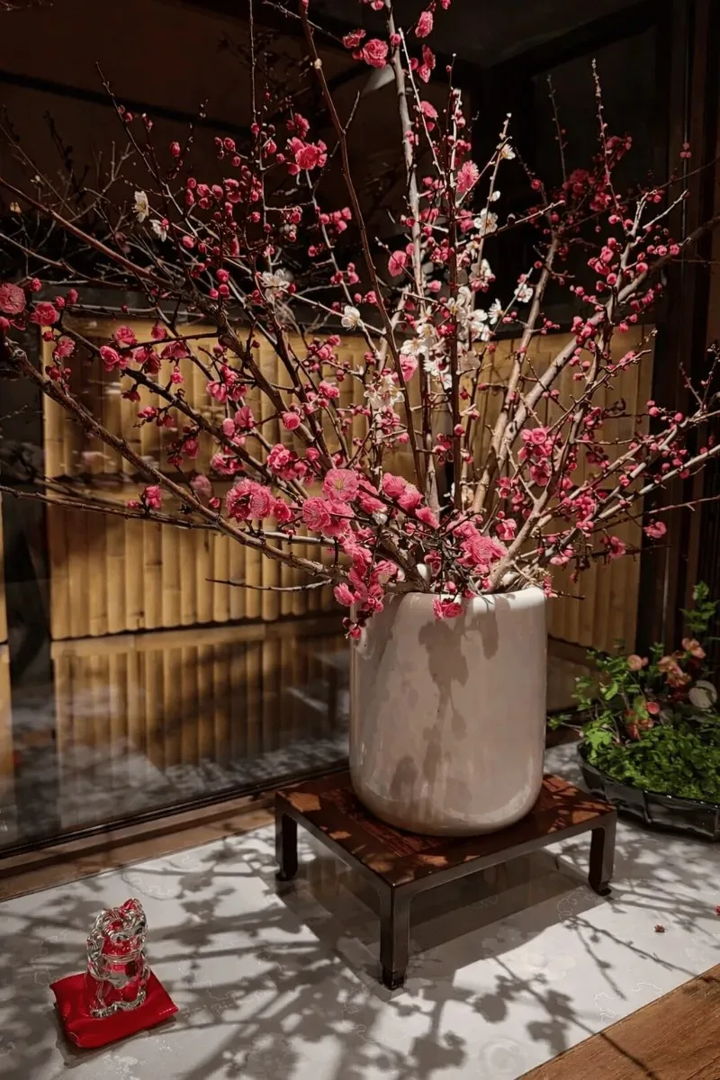 Tozentei — photo 4