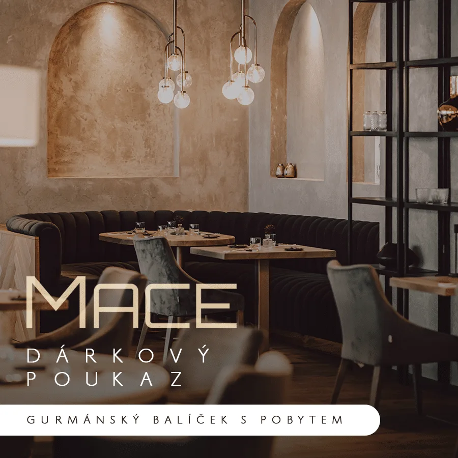 Mace restaurant — photo 60