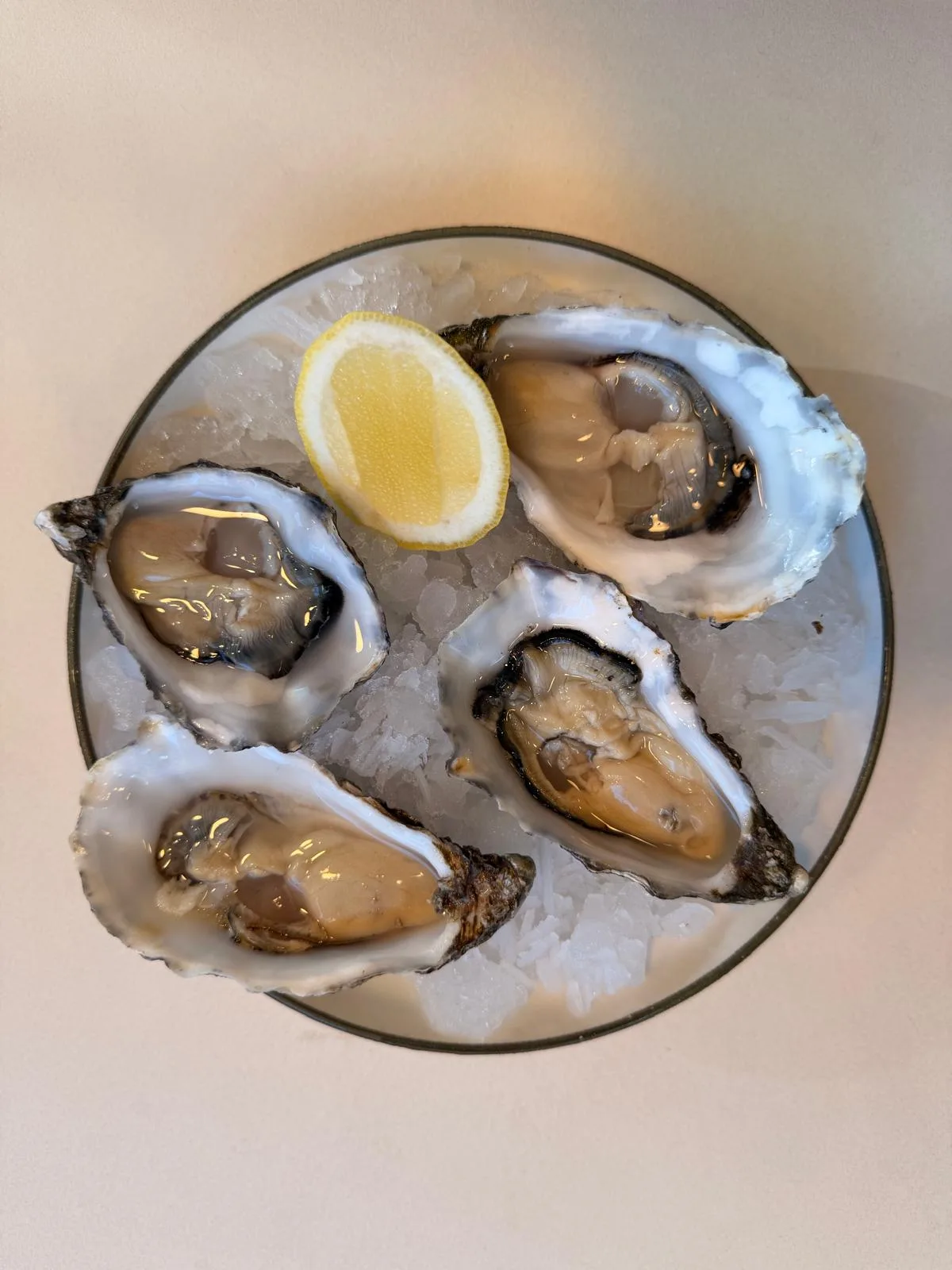 Beaucoup Fish — photo 23