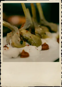DVISI — photo 25