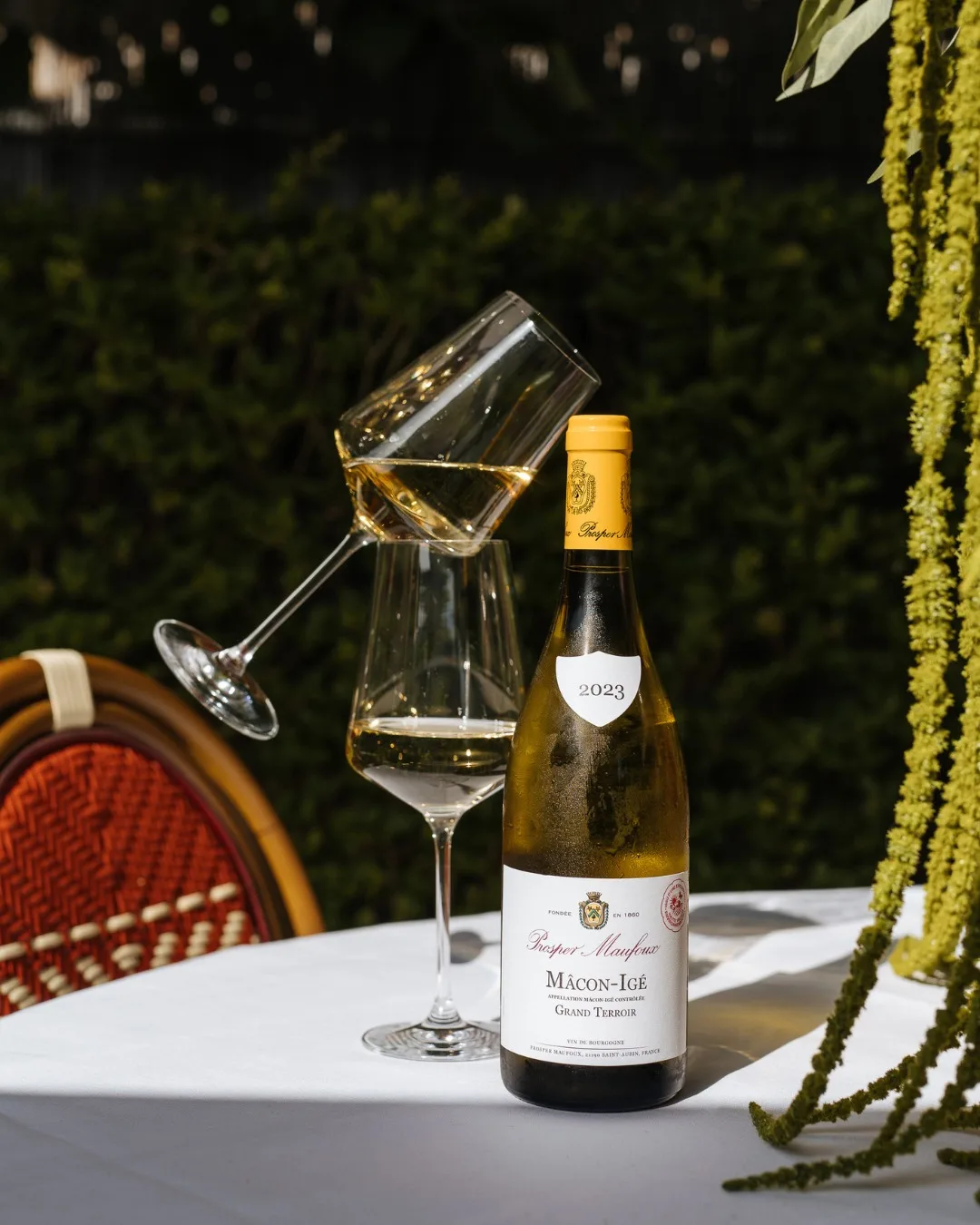 Bistro MaReine — photo 7
