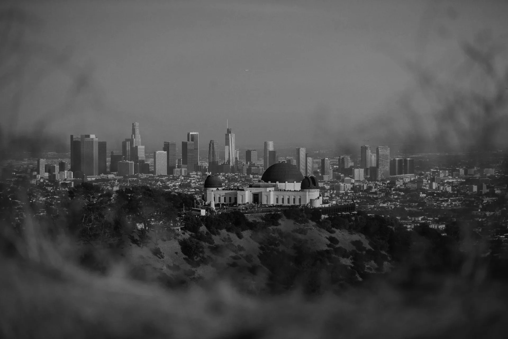 Civico 2064 — photo 10