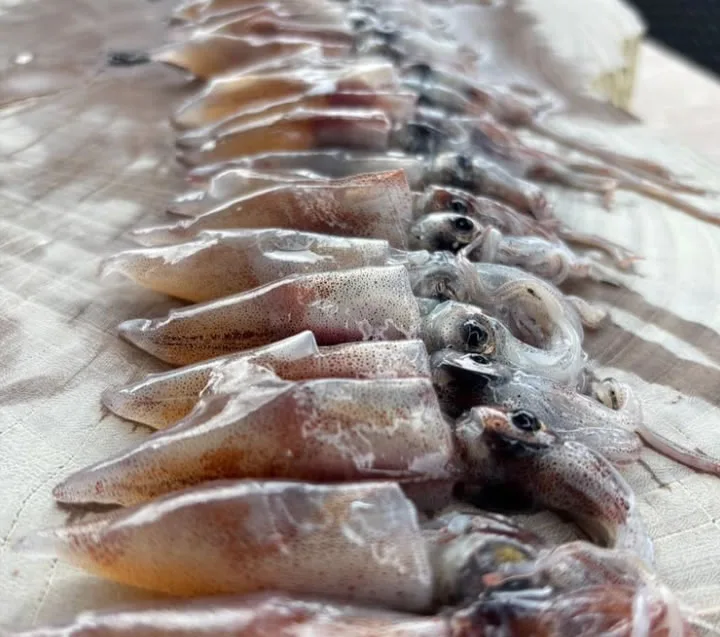 restaurant ecoutières — photo 19