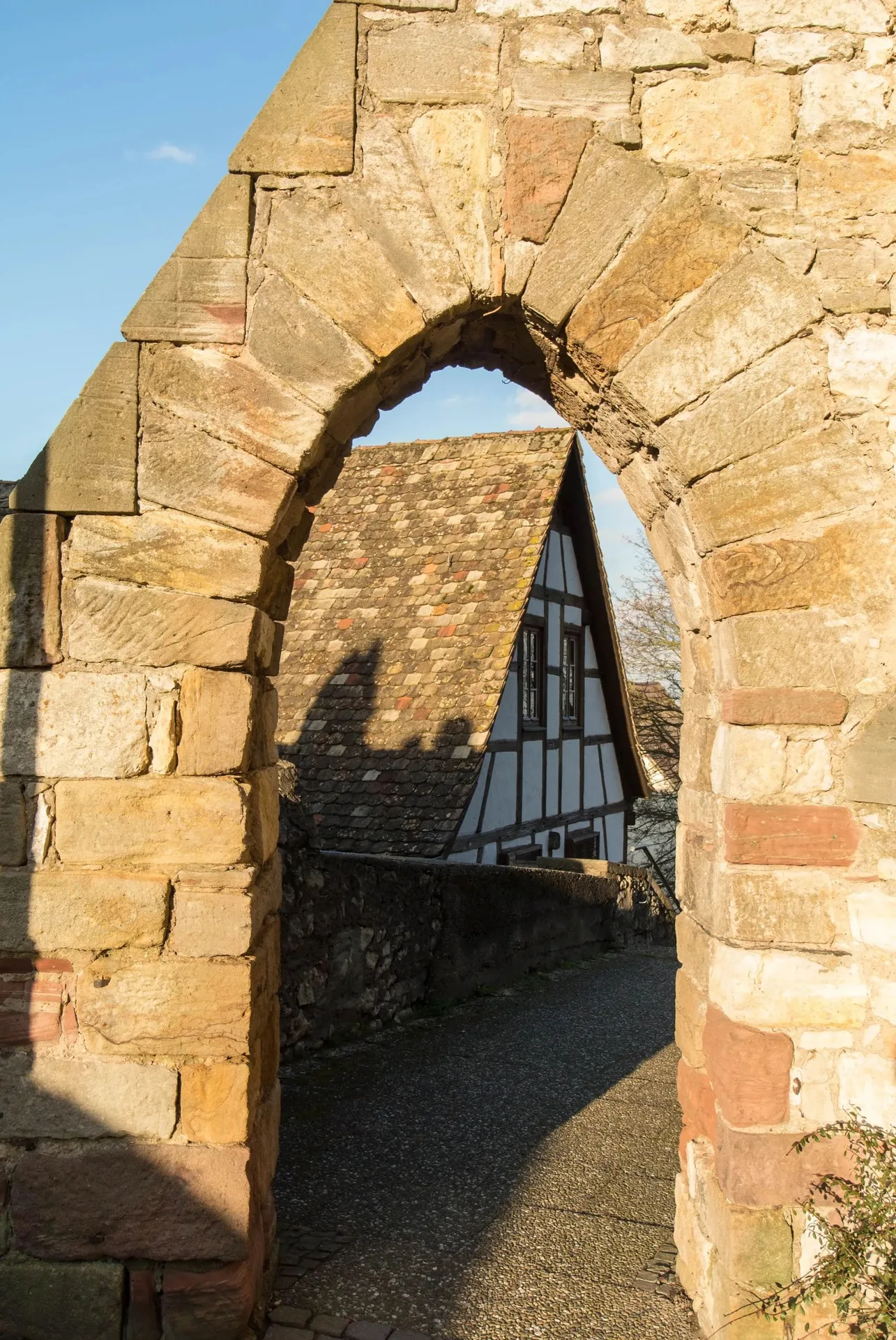 Zornheimer Weinstuben — photo 16
