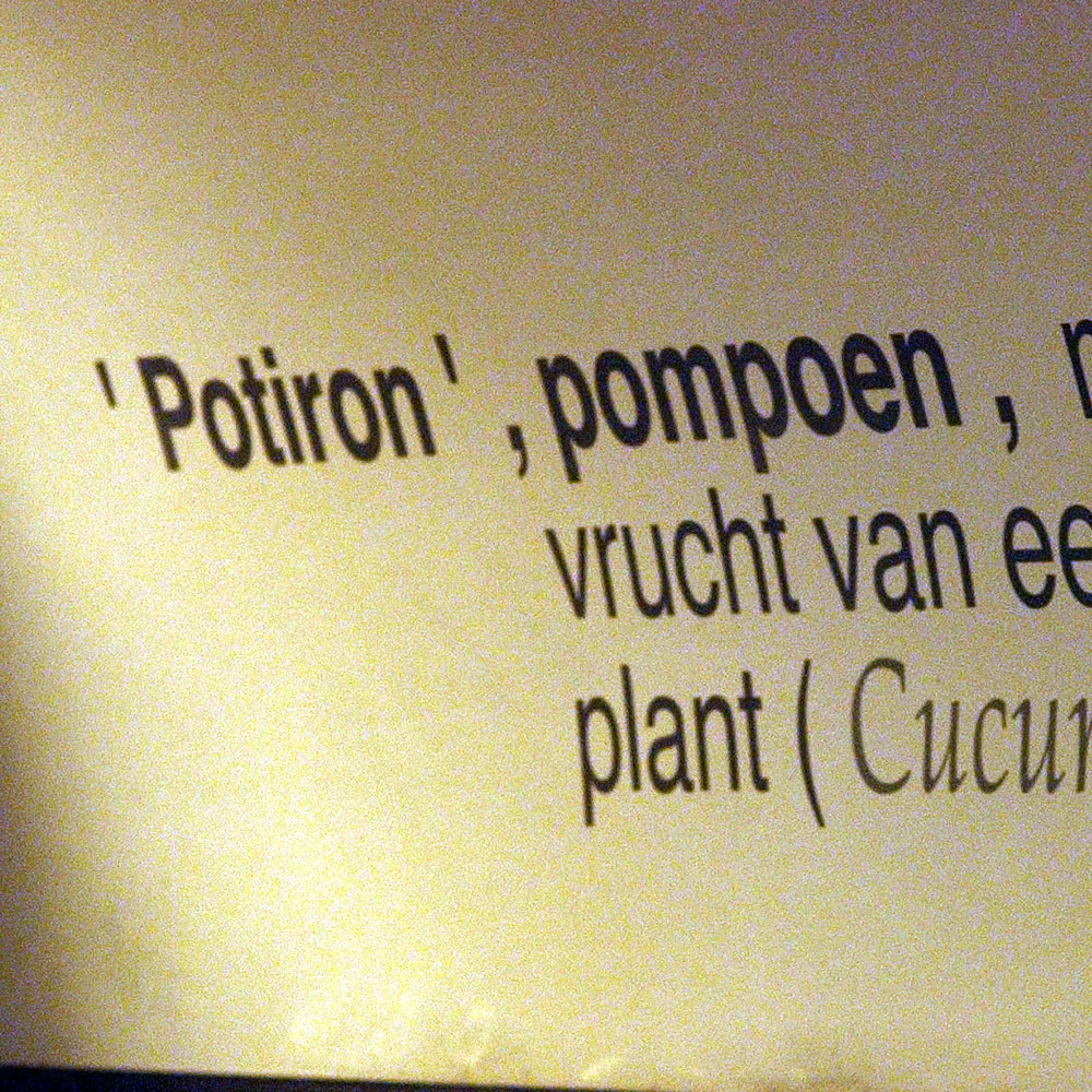 Potiron — photo 24