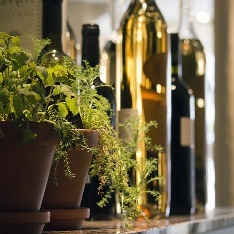 Ristorante Pizzeria Frankenturm — drink