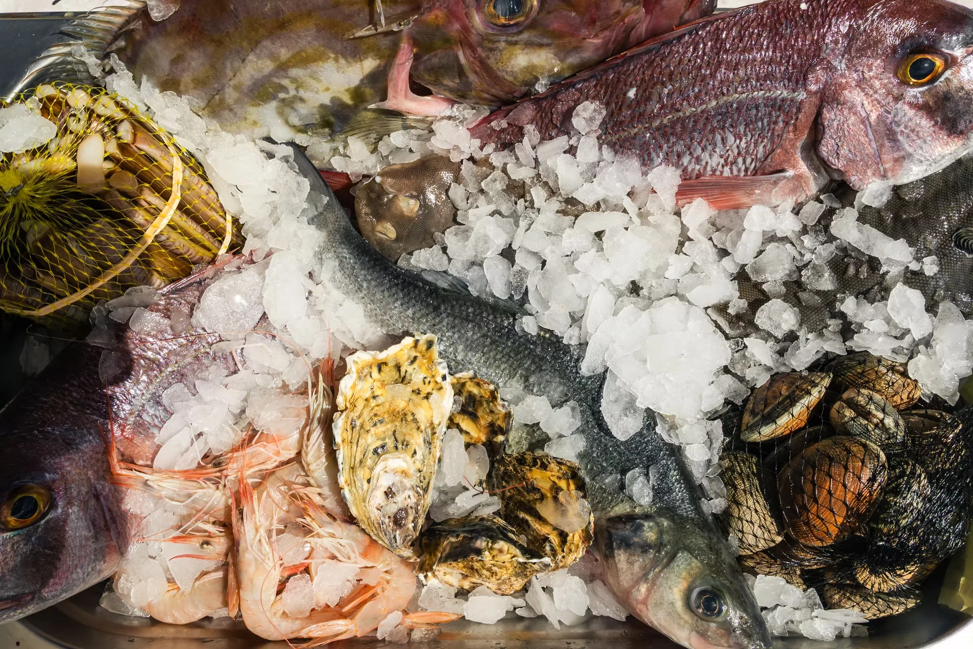 Sarmiento Brasa Andaluza — food