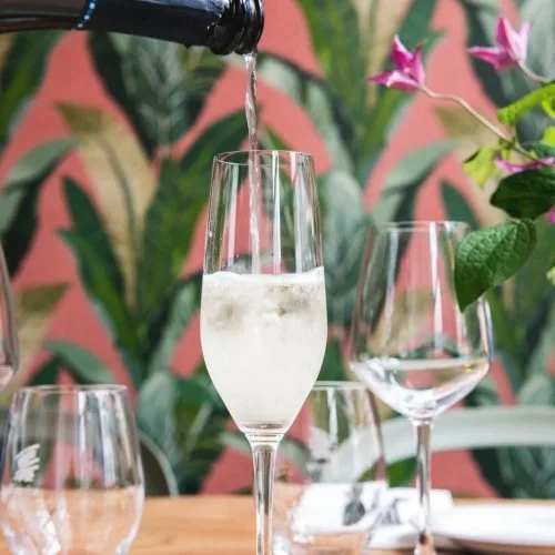 Segugio — drink
