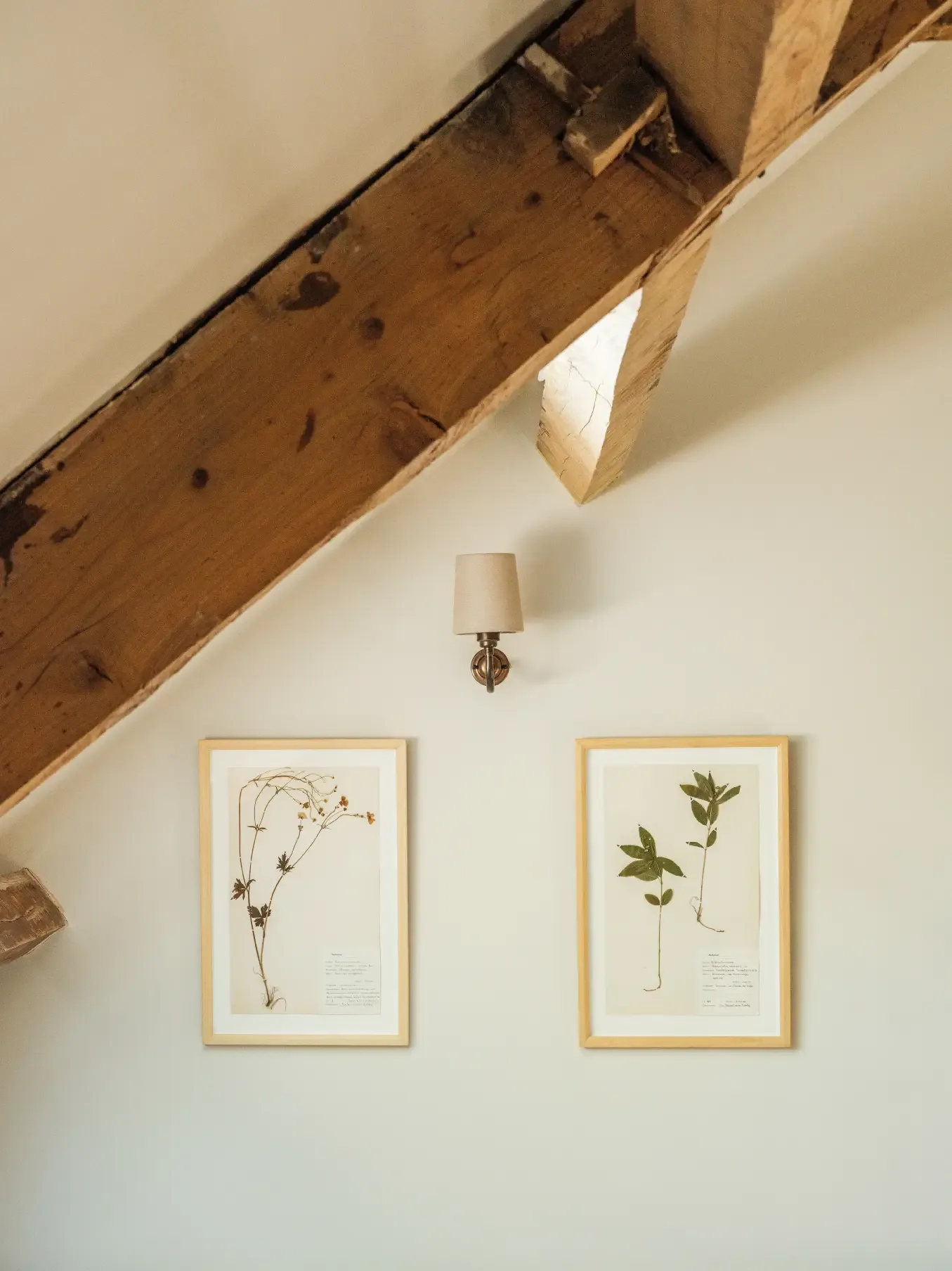 Osip — photo 8